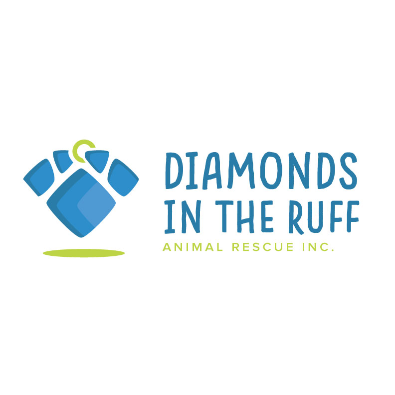 BrandHack 2019 Recap: Diamonds in the Ruff Animal Rescue